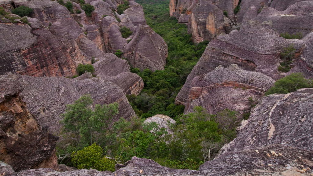 imagem da serra da capivara, no piauí